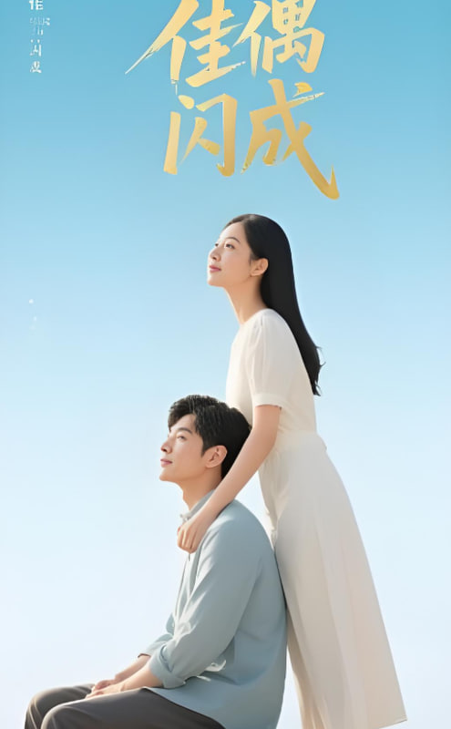 佳偶闪成（假婚真爱）