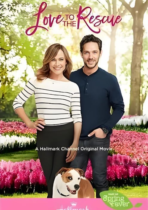 救助狗狗遇到爱