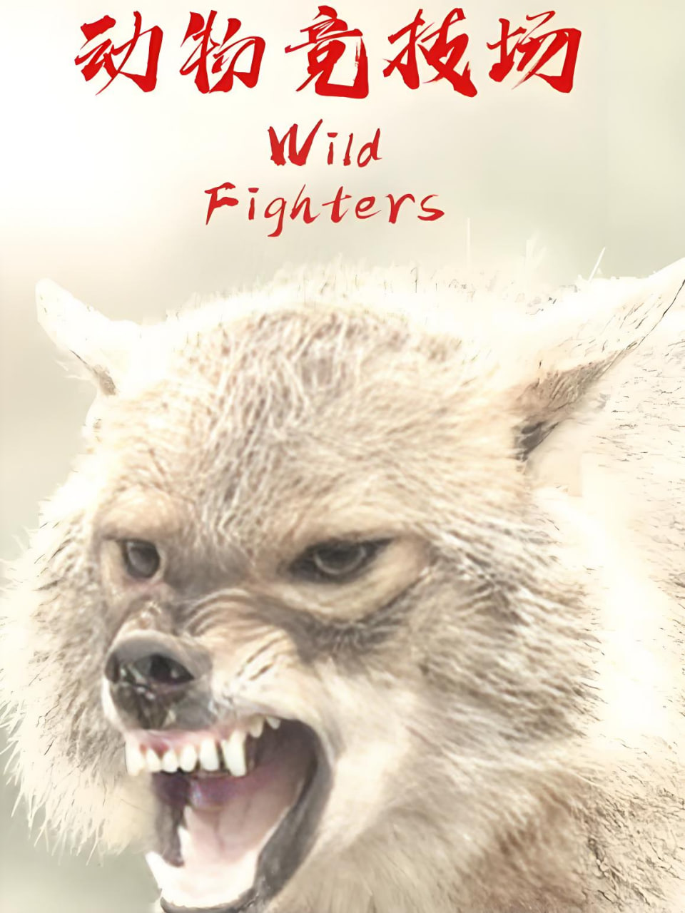 动物竞技场 中文版