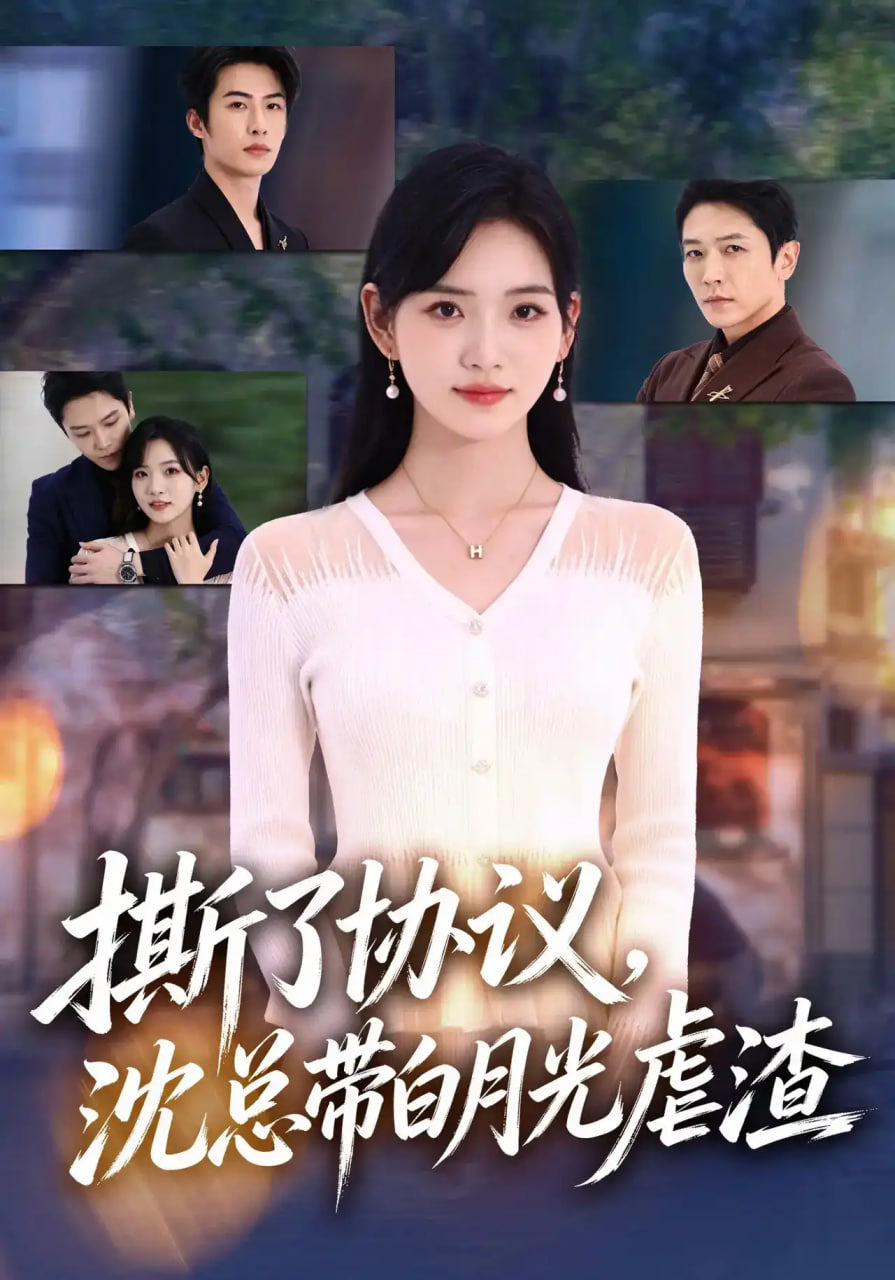 撕了协议，沈总带白月光虐渣